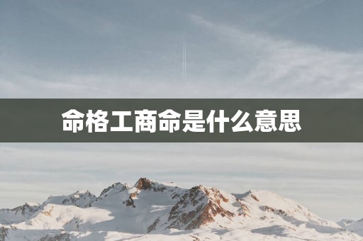 命格工商命是什么意思