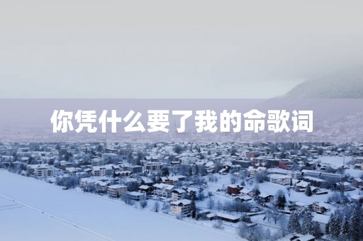 你凭什么要了我的命歌词