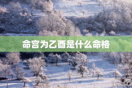 命宫为乙酉是什么命格