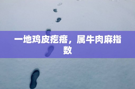 一地鸡皮疙瘩，属牛肉麻指数