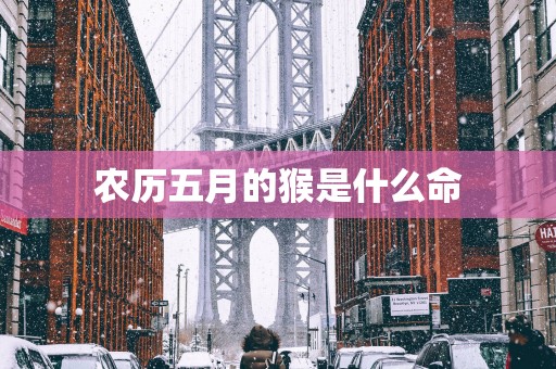 农历五月的猴是什么命