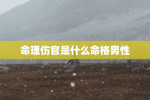 命理伤官是什么命格男性