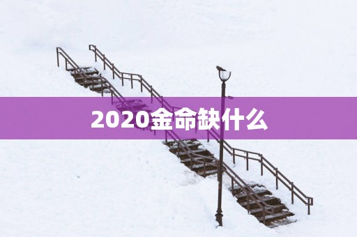 2025金命缺什么