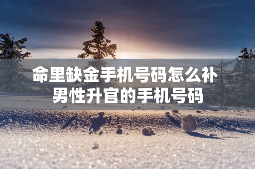 命里缺金手机号码怎么补 男性升官的手机号码