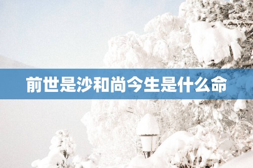 前世是沙和尚今生是什么命
