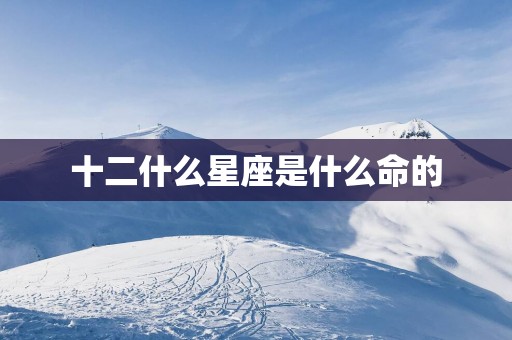 十二什么星座是什么命的