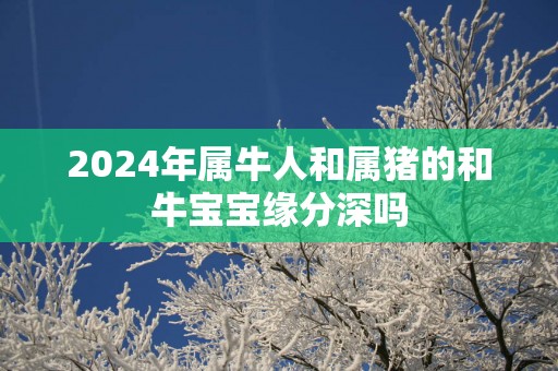 2025年属牛人和属猪的和牛宝宝缘分深吗