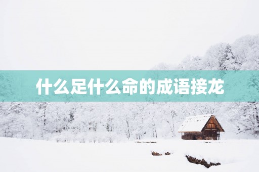 什么足什么命的成语接龙