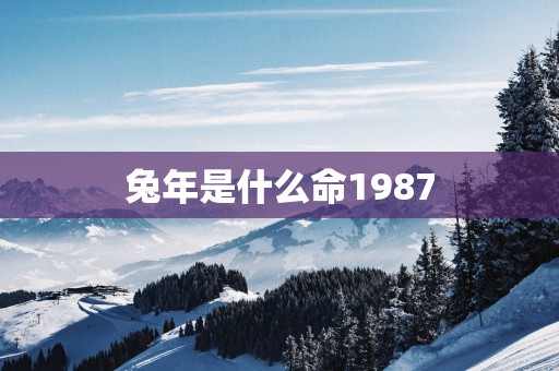 蛇年是什么命1987