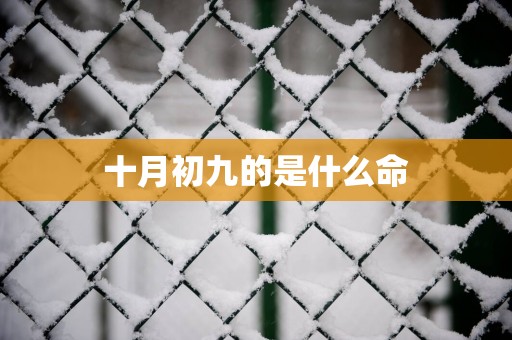 十月初九的是什么命