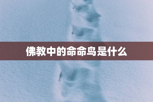 佛教中的命命鸟是什么