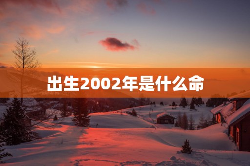 出生2002年是什么命