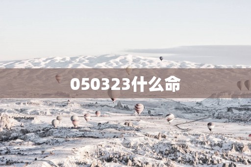 050323什么命