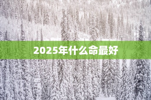 2025年什么命最好