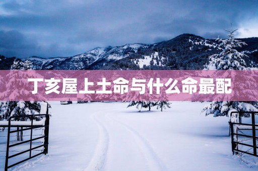 丁亥屋上土命与什么命最配