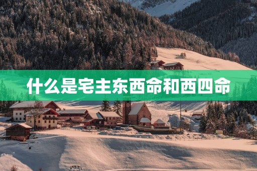 什么是宅主东西命和西四命