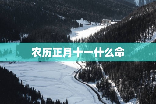 农历正月十一什么命