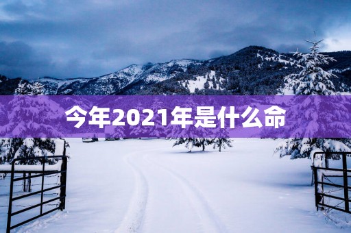 今年2025年是什么命
