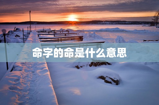 命字的命是什么意思