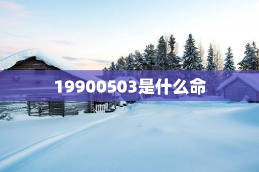 19900503是什么命