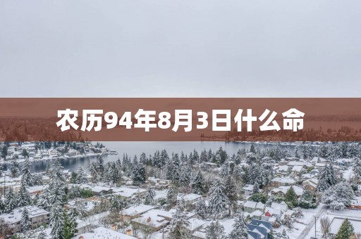 农历94年8月3日什么命