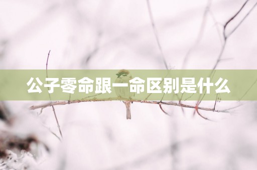 公子零命跟一命区别是什么