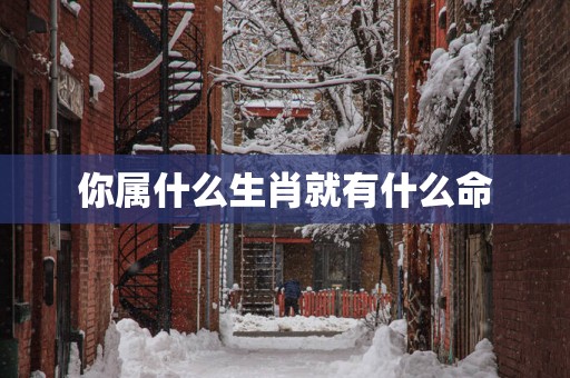 你属什么生肖就有什么命