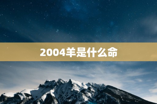 2004羊是什么命