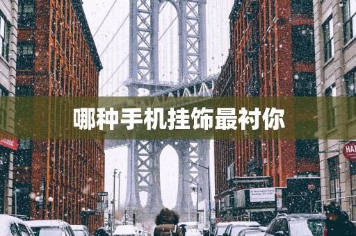 哪种手机挂饰最衬你
