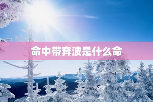 命中带奔波是什么命