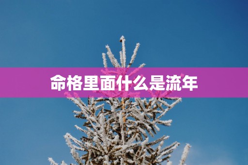 命格里面什么是流年
