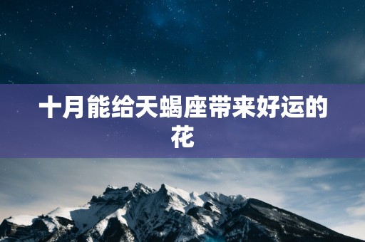 十月能给天蝎座带来好运的花 十月能给天蝎座带来好运的花