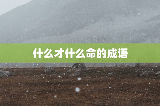 什么才什么命的成语