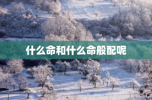 什么命和什么命般配呢