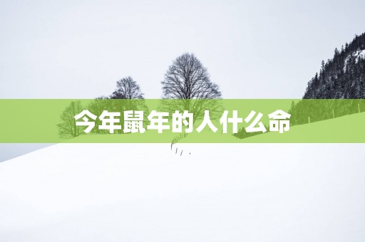 今年蛇年的人什么命
