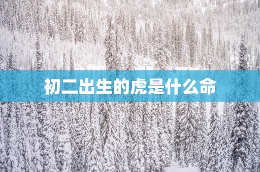 初二出生的虎是什么命