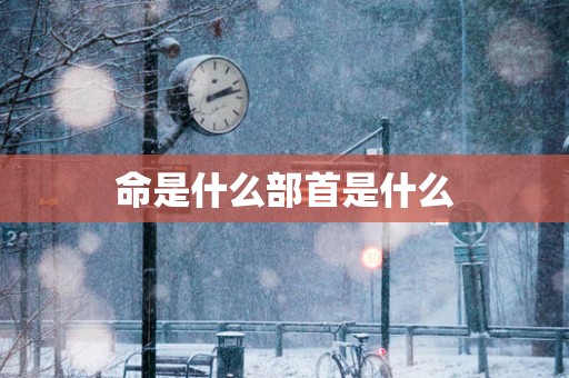 命是什么部首是什么