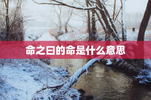 命之曰的命是什么意思