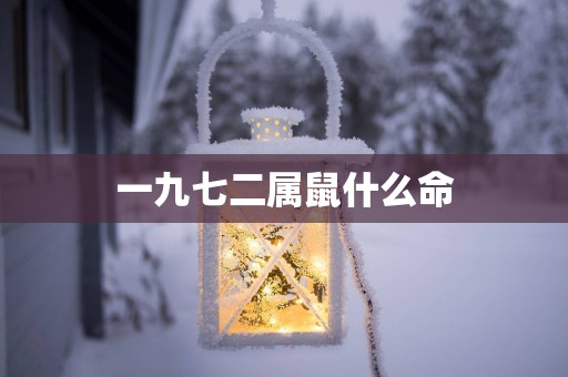 一九七二属鼠什么命