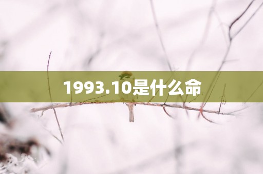 1993.10是什么命 1993.10是什么命