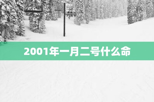 2001年一月二号什么命