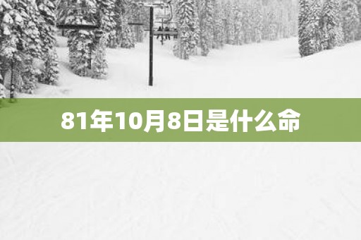 81年10月8日是什么命