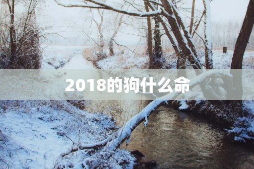 2018的狗什么命