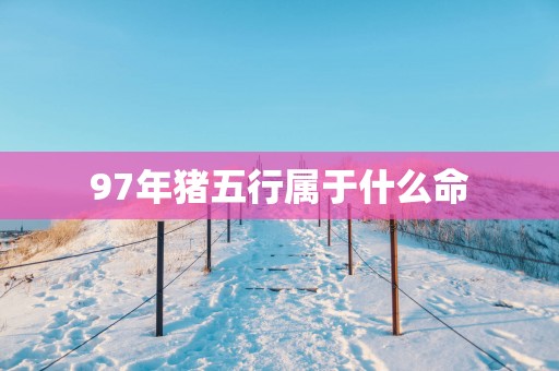 97年猪五行属于什么命
