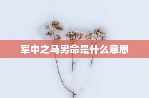 军中之马男命是什么意思