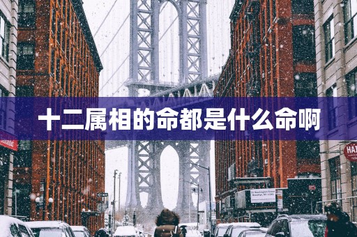 十二属相的命都是什么命啊