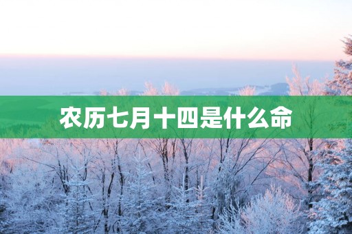 农历七月十四是什么命