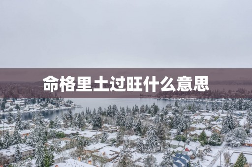 命格里土过旺什么意思