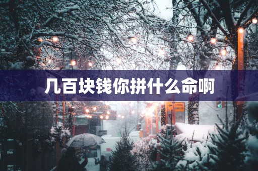几百块钱你拼什么命啊
