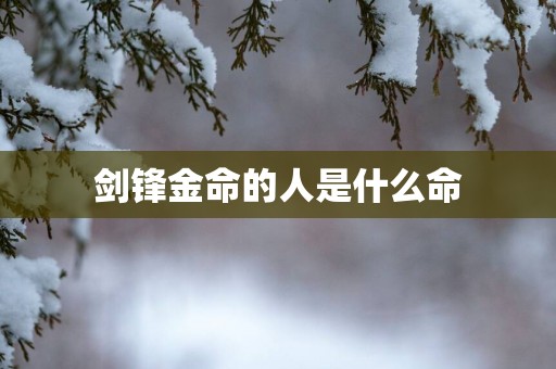 剑锋金命的人是什么命